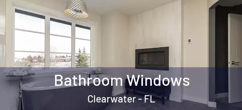 Bathroom Windows Clearwater - FL