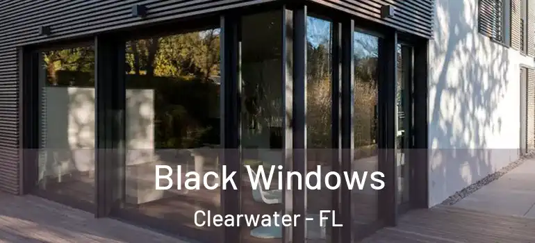 Black Windows Clearwater - FL