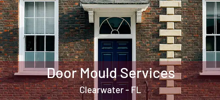 Door Mould Services Clearwater - FL
