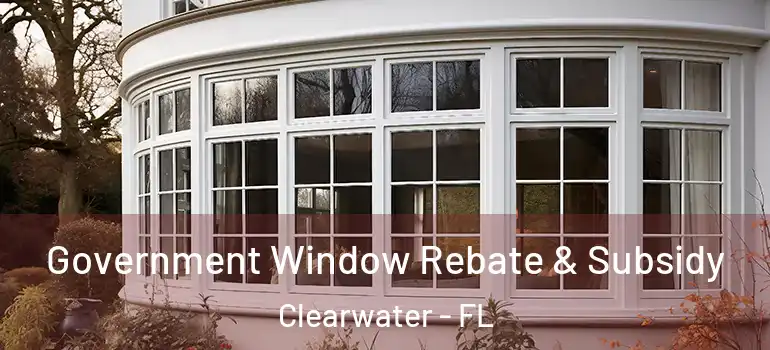 Government Window Rebate & Subsidy Clearwater - FL