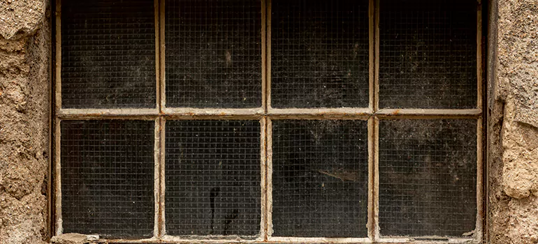Traditional Double Front Doors in Clearwater, FL