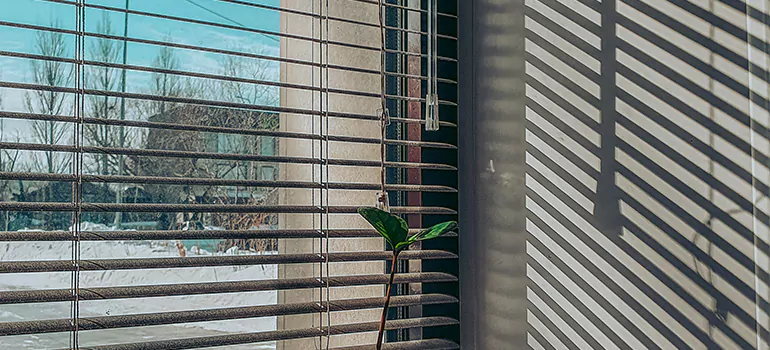 Commercial Window Blinds in Clearwater, FL