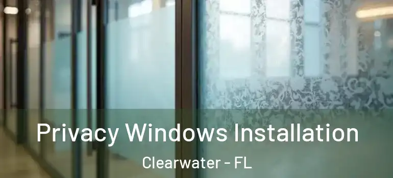 Privacy Windows Installation Clearwater - FL
