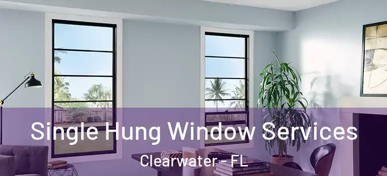 Single Hung Window Services Clearwater - FL