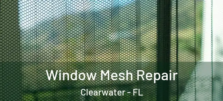 Window Mesh Repair Clearwater - FL