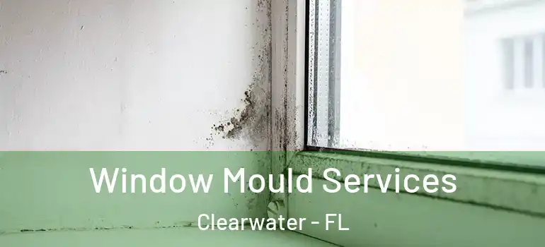 Window Mould Services Clearwater - FL